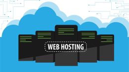 Yeni Başlayanlar İçin Domain ve Hosting Seçimi